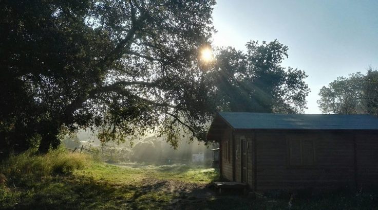 marco oasi castel di guido
