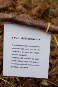 maria alberi da frutto