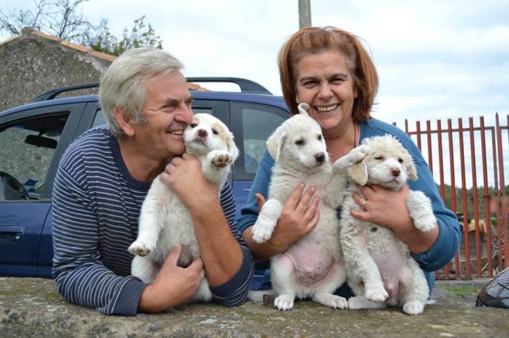 angelo e alfia copertina