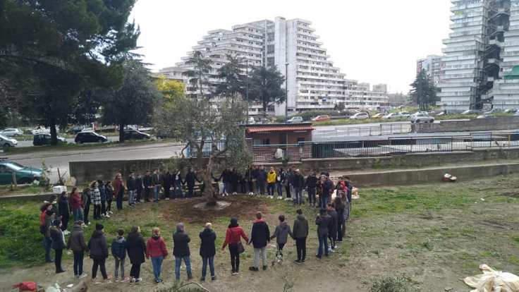 davide alberi a scampia