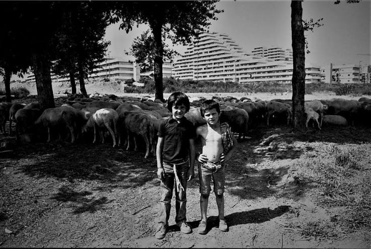 davide bambino scampia