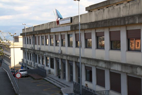 maria fatima antonello