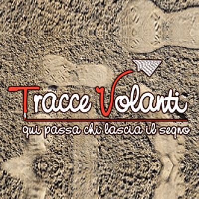 logo tracce